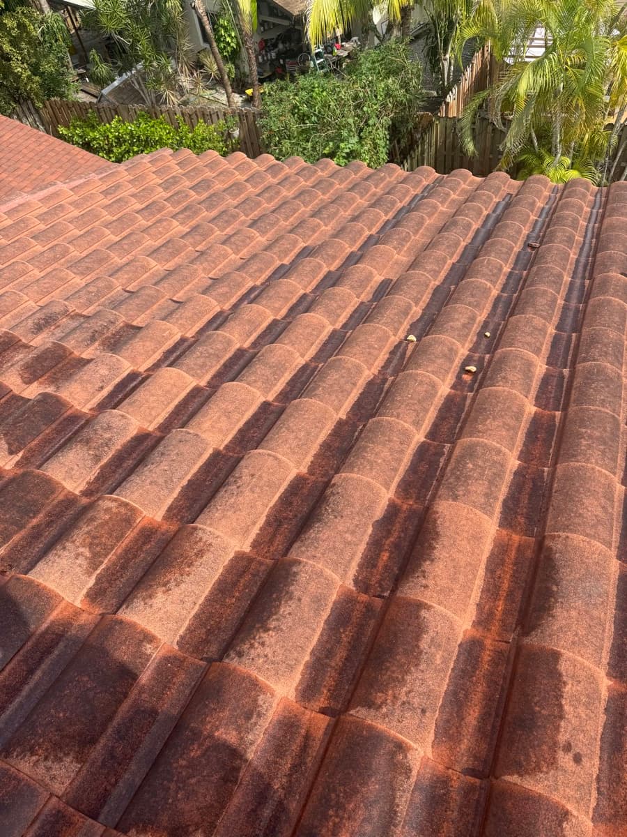 Roof Cleaning and Paint Prep, before, The Hammocks, Miami-Dade