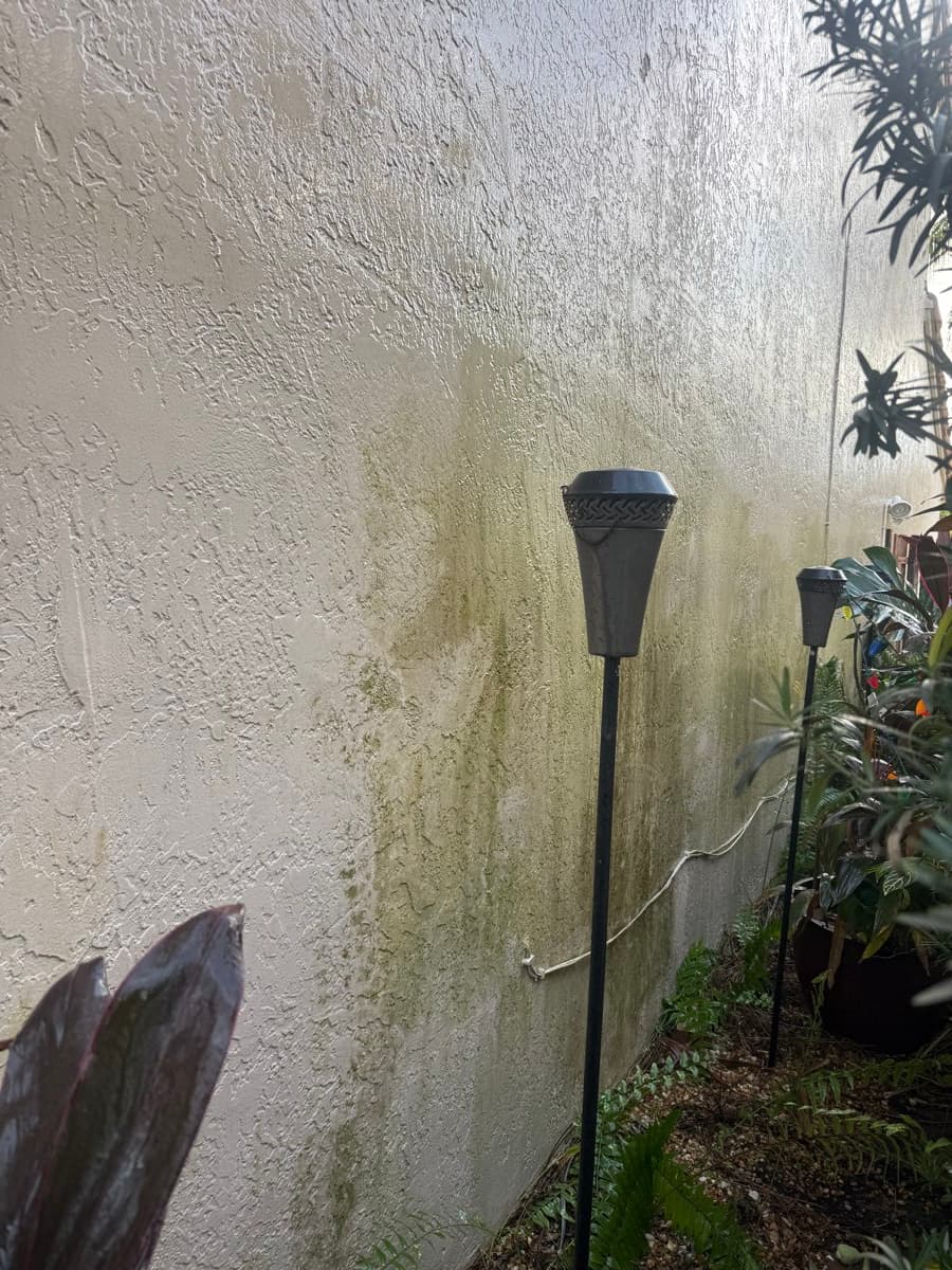 Mildew on stucco before pressure washing for exterior painting in The Hammocks