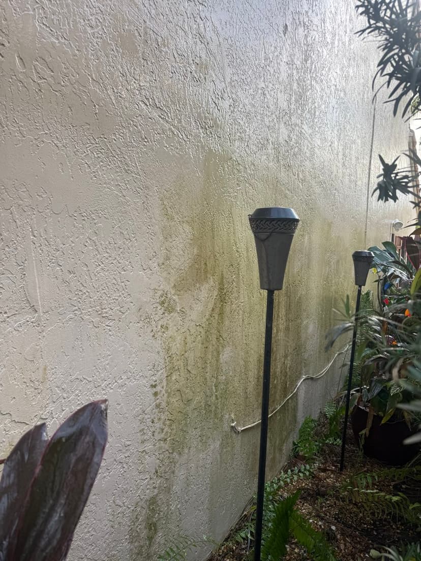 Mildew on the side wall before washing.